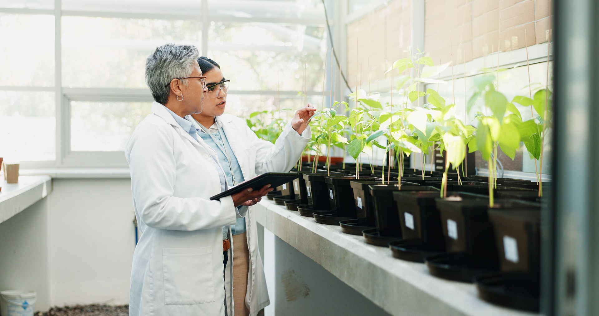 Science, medical and women with tablet, plants and collaboration with connection, agro or pharmaceuticals. People, employees and researchers with tech, study and app for gmo results and agriculture